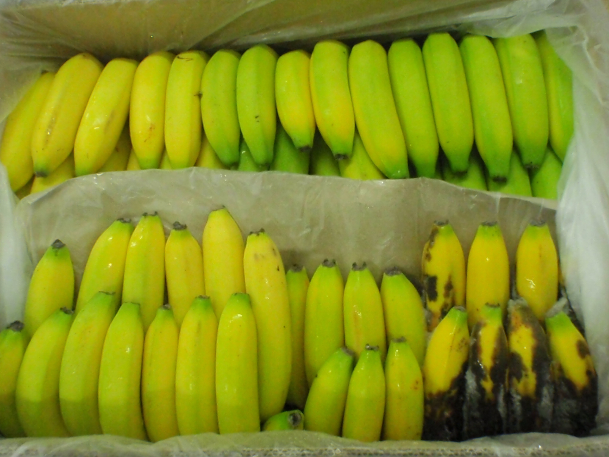 banane 2.JPEG